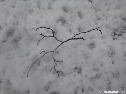 THE LOST LITTLE BRANCH minimal art zen photography by (b)ananartista sbuff © 2015 all rights reserved